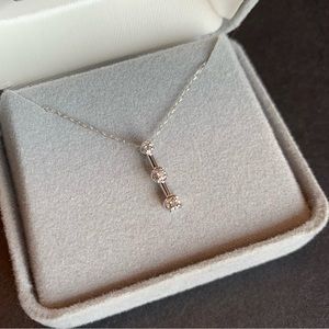 10k White Gold micro diamond Past, Present, Future necklace